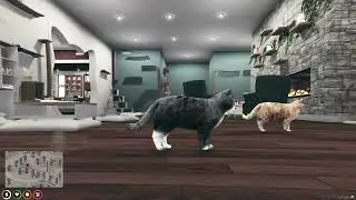 [QBCORE] Kitty Transformation Consumable Item | FiveM Scripts | A Custom Script for GTAV