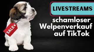 Die SCHLIMMSTEN Livestreams auf TikTok