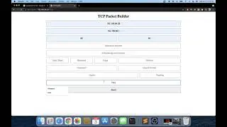 TCP packet web app(Flask/Scapy)