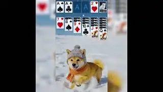 Solitaire Legend V233- 800&times;800