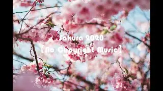 sakura 2020 - [no copyright free music] - [royalty free music]