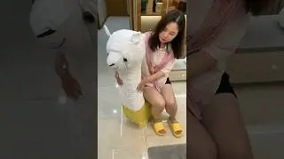 Amazing Internet celebrity alpaca smart home item 😱