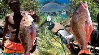 Monster Mutton Snapper Caught Today🇯🇲 | Survival Spearfishing in Rough ñ Dirty Sea | Catch Ñ Cook