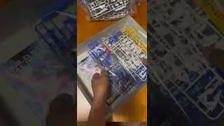 Gundam BUILD STRIKE GUNDAN X105B/FP