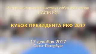 Чау-чау. CACIB FCI 