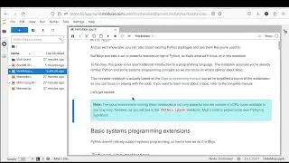 mojo playground for the mojo code, execution
