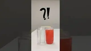 pascal law experiment | Pani ke sath trick | cool science experiment