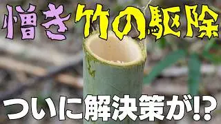 新しい伐採方法を試してみた #diy