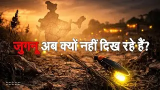 बचपन का जुगनू कहाँ गया? | Fireflies Disappearing from India | Environmental Crisis Explained