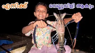 അങ്ങനെ എനിക്കൊരു പകരക്കാരൻ ആയി 