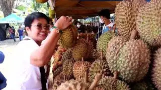 Kidapawan City of 2023