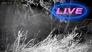 KX CREATURE CAM LIVE-STREAM TEST 01B
