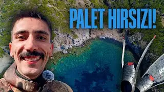 I Lost My Palette in Fo&ccedil;a! | Paletaşıran Bay