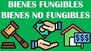 BIENES FUNGIBLES / BIENES NO FUNGIBLES / DERECHO CIVIL