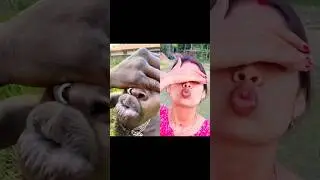 kalu darling 🤣 #youtubeshorts #comedyfilms #sabscrab #fannycomedy #fannyvideo #kalu
