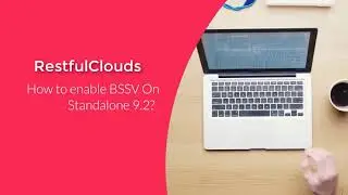 How to enable BSSV On Standalone 9.2?