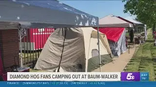 Razorback baseball fans already lined up for first regional game