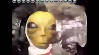 Lil mayo
