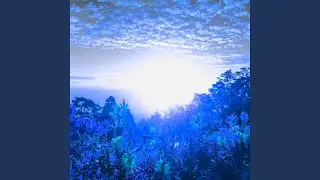 Artistic Music for Sunday Tracks