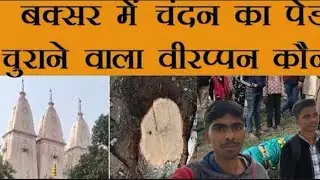 #buxar news बक्सर में नाथ बाबा से हुआ करोड़ों ￼का चंदन के पेड़ 🌴 चोरी #vlog #news #viral 