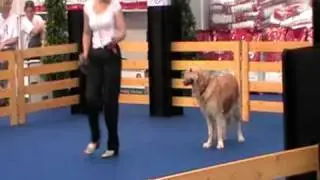 20100821 103126