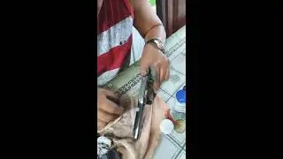 Oxida&ccedil;&atilde;o com SUPER BLUE