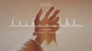 Joel Peres - I Didn&rsquo;t Know