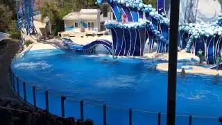 Sea World Dolphin show ending