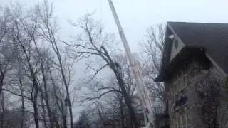 Tree Service Morris County New Jersey