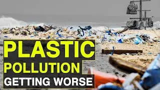 Plastic Pollution: Time to save planet from plastic | Plastic Waste Pollution | Saving Earth | DNA