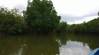 Blending with nature, as per my friend