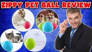🐕&zwj;🦺 Zippy Pet Ball Reviews 🥎 Smart Ball For Your Pet so They Never Get Bored 🐈 Zippy Pet Smart Ball