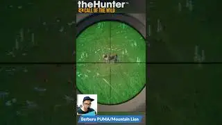 The Hunter Call of The Wild Indonesia - PUMA / Mountain Lion