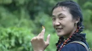 2 WAKRO BUTTERFLY MEET and 8 NORTHEAST BUTTERFLY MEET 2025, organise by Kamlang Valley Nature Club 