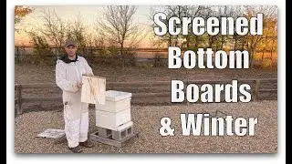 What to do with Screened Bottom Boards During Winter