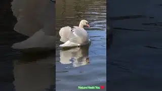 Nature heals souls, God&rsquo;s creation brings peace, joy, love 🌈🌸#GodsCreationLovers #NatureTherapy#love