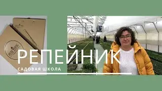 Садовая школа. Кусочек из жизни Репейника