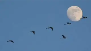 aero - daniel.mp3 - 1 hour
