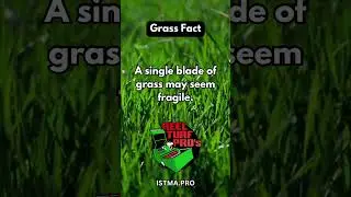 #motivation #xmas #turf #lawn #lawncare #sportsturf