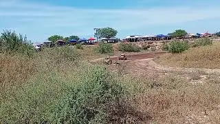 Rancho pro baja todas las clases octubre 6