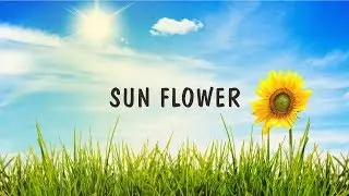 [FREE] Dancehall Instrumental Beat - Sun Flower [Prod.By Zahiem] 2020