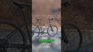 Trek FX: универсальное средство передвижения для друзей, семьи и поездок на работу!