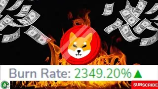 Burn de SHIBA INU par les G&eacute;ants du march&eacute; des cryptomonnaies - Yooshi - Infos Crypto Fr