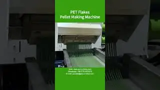 PET Flakes Pellet Making Machine, PET Flakes Pelletizing Line, PET Pelletizing Machine - Purui