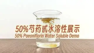 50% Paeoniflorin Water Solubility Test Experiment