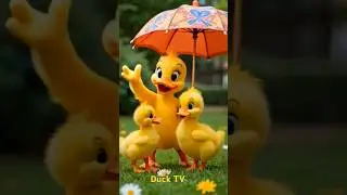 little  ducks and mom duck study to dance   #duckrescue #duck #duckshorts