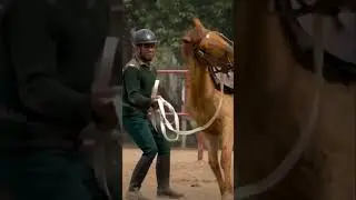 Cavalry Regiment Of Indian Army