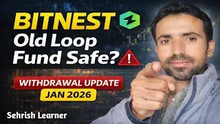 Bitnest Old Loop Fund Save? | Latest Withdrawal Update (Jan 20, 2026)