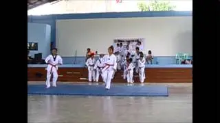 HWARANG TAEKWONDO CLUB - DEMO TEAM (JONAS MATTHEW A. PADUA)