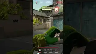 Skye ACE #valorant #valorantclips #valorantgaming #gamer #ace